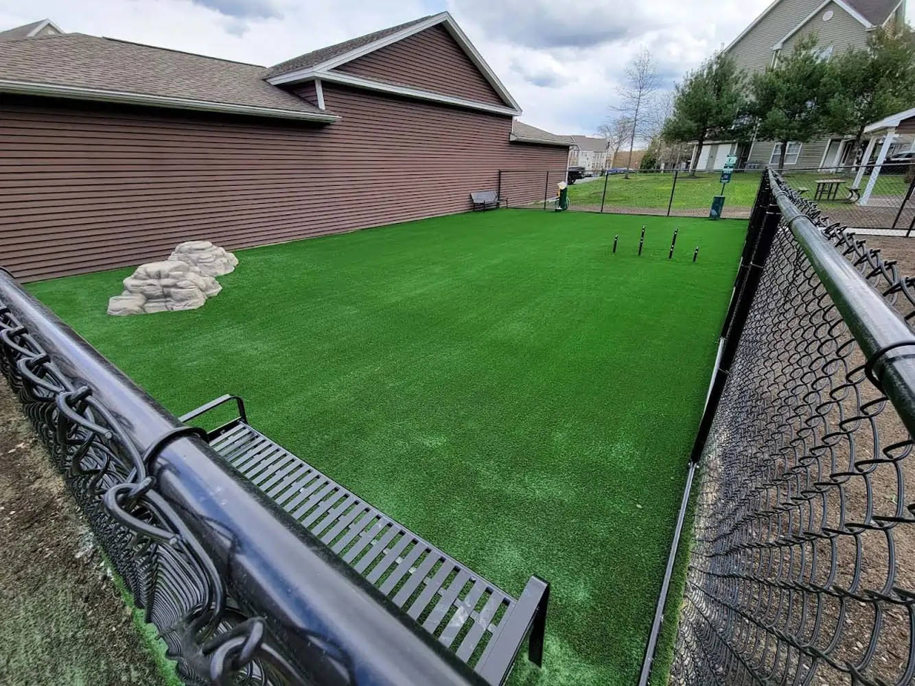 Pet Friendly Turf Installation